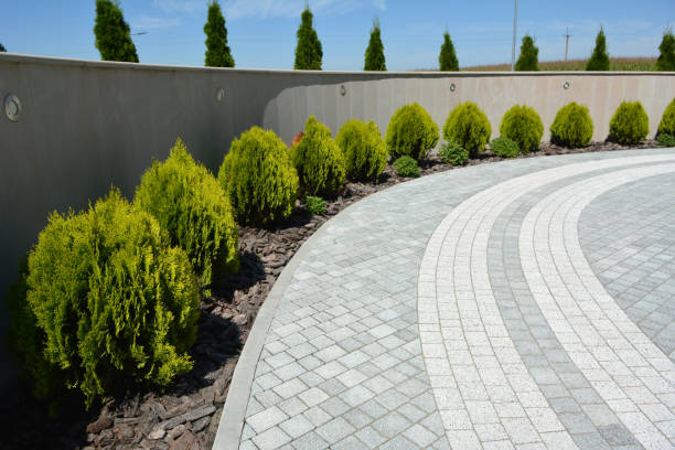 Best Custom Driveway Pavers  in Haynesville, LA